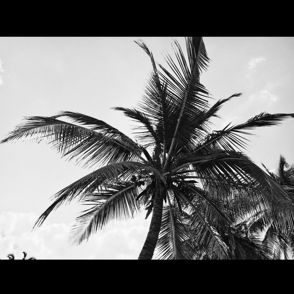 ROLL 001