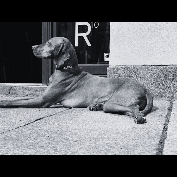 ROLL 001
